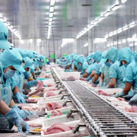 Không dễ ứng phó với thách thức thương mại toàn cầu