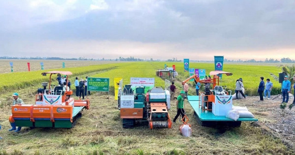 Canh tác lúa giảm phát thải: Hành trình nâng cao giá trị hạt gạo Việt