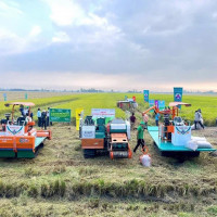 Canh tác lúa giảm phát thải: Hành trình nâng cao giá trị hạt gạo Việt