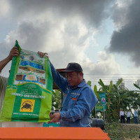 Trả dinh dưỡng lại cho đất lúa