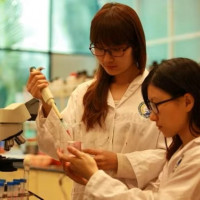 Khát nhân lực ngành Sư phạm khoa học tự nhiên