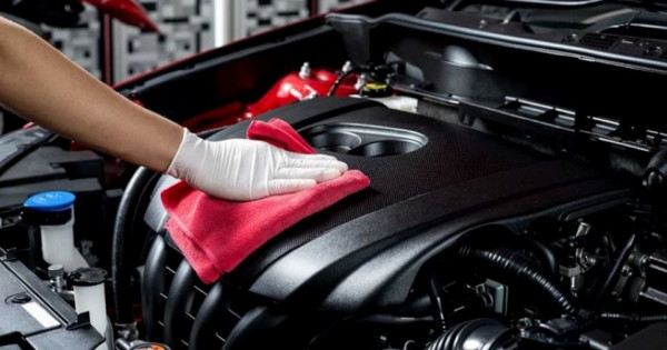 7 cách chống chuột vào xe ô tô đơn giản, hiệu quả