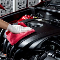 7 cách chống chuột vào xe ô tô đơn giản, hiệu quả