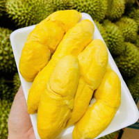 Krông Búk đẩy mạnh phát triển sầu riêng bền vững, hướng đến thị trường xuất khẩu