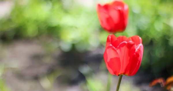 Tử vi ngày 4/5/2025 của 12 cung hoàng đạo: Song Ngư cần chú ý đến chế độ ăn uống