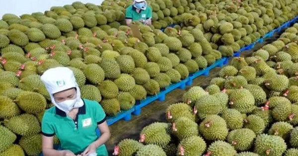 Tiếp đà tăng trưởng xuất khẩu nông sản