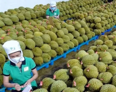 Tiếp đà tăng trưởng xuất khẩu nông sản