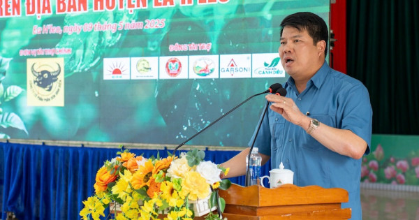 Phát triển cà phê bền vững từ chuỗi liên kết