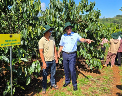 Canh tác cà phê thông minh: Hướng đi bền vững cho ngành cà phê Tây Nguyên