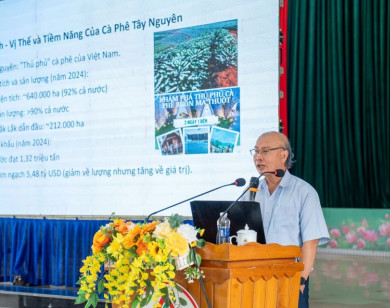 Canh tác cà phê thông minh ứng phó với biến đổi khí hậu