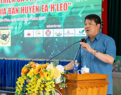 Phát triển cà phê bền vững từ chuỗi liên kết