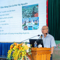 Canh tác cà phê thông minh ứng phó với biến đổi khí hậu