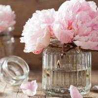 Tử vi ngày 10/5/2025 của 12 cung hoàng đạo: Ma Kết cần lập kế hoạch chi tiêu cẩn thận