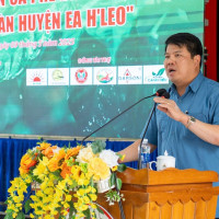 Phát triển cà phê bền vững từ chuỗi liên kết