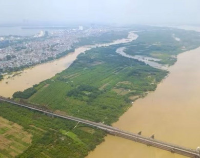 Đánh thức đất vàng ven sông Hà Nội