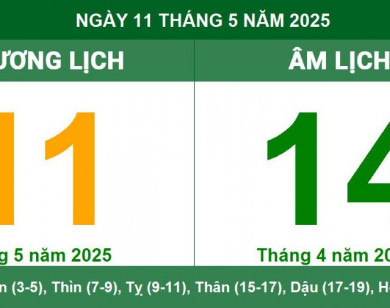 Lịch âm 11/5 chính xác nhất, lịch vạn niên ngày 11/5/2025: Việc nên và không nên làm?