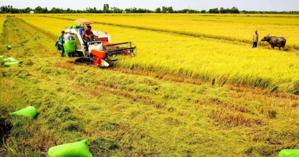 Đề xuất kéo dài thời gian miễn thuế sử dụng đất nông nghiệp đến hết năm 2030