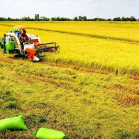 Đề xuất kéo dài thời gian miễn thuế sử dụng đất nông nghiệp đến hết năm 2030