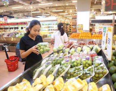 Nhập khẩu hàng hóa Mỹ: Mũi tên trúng nhiều đích