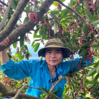 Từ lập trình viên trẻ đến “Anh nông dân áo xanh” truyền cảm hứng