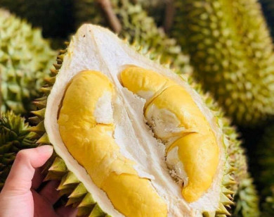 Những điều cấm kị khi ăn sầu riêng, bạn nên biết để tránh ngộ độc