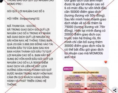 Người đàn ông mất hơn 300 triệu đồng vì ứng dụng MoMo Pro giả mạo