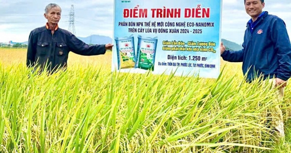 Hiệu quả vượt mong đợi từ phân NPK Mặt Trời Mới công nghệ Eco-Nanomix trên cây lúa tại Duyên hải Nam Trung Bộ