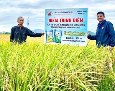 Hiệu quả vượt mong đợi từ phân NPK Mặt Trời Mới công nghệ Eco-Nanomix trên cây lúa tại Duyên hải Nam Trung Bộ