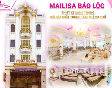 Mailisa Bảo Lộc được cấp phép những dịch vụ gì?