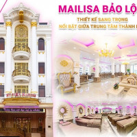 Mailisa Bảo Lộc được cấp phép những dịch vụ gì?