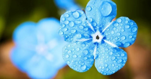 Tử vi ngày 23/5/2025 của 12 cung hoàng đạo: Song Ngư không nên lo lắng nhiều