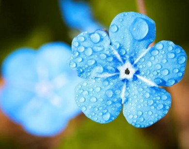 Tử vi ngày 23/5/2025 của 12 cung hoàng đạo: Song Ngư không nên lo lắng nhiều