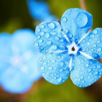 Tử vi ngày 23/5/2025 của 12 cung hoàng đạo: Song Ngư không nên lo lắng nhiều