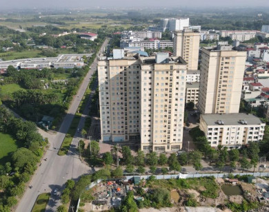 Cần đồng bộ cơ chế thí điểm phát triển nhà ở xã hội