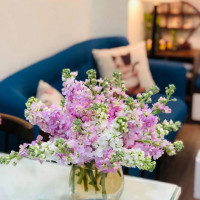 Tử vi ngày 24/5/2025 của 12 cung hoàng đạo: Bảo Bình cần cẩn thận hơn