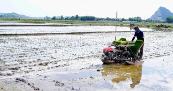 Hạn hán đe dọa sản xuất nông nghiệp tại Trung Bộ