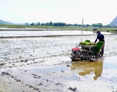 Hạn hán đe dọa sản xuất nông nghiệp tại Trung Bộ