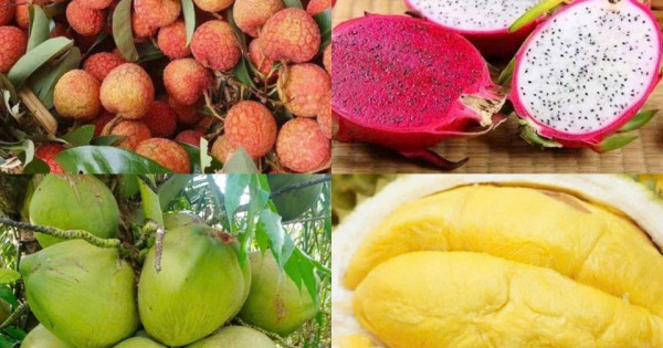 Tiêu dùng trong tuần (19/5-25/5/2025): Sầu riêng, thanh long, vải u hồng,... giá rẻ bất ngờ