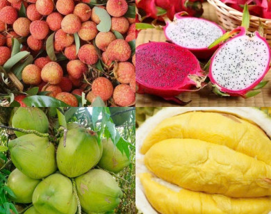 Tiêu dùng trong tuần (19/5-25/5/2025): Sầu riêng, thanh long, vải u hồng,... giá rẻ bất ngờ