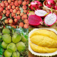 Tiêu dùng trong tuần (19/5-25/5/2025): Sầu riêng, thanh long, vải u hồng,... giá rẻ bất ngờ