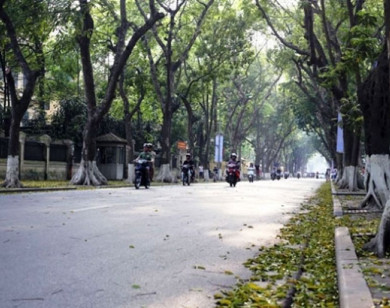 Thời tiết ngày 29/5/2025: Bắc Bộ trời mát