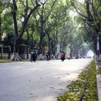 Thời tiết ngày 29/5/2025: Bắc Bộ trời mát