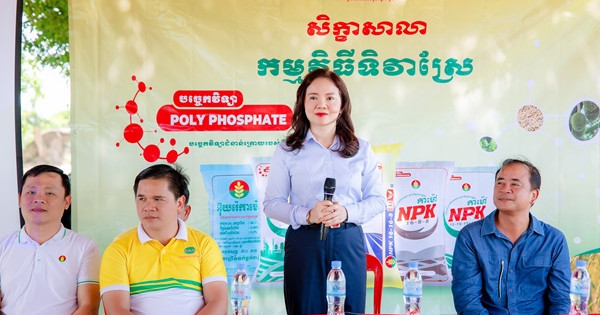 PVCFC khai trương văn phòng đại diện tại Phnom Penh, đánh dấu 10 năm đồng hành và vững bước cùng nông nghiệp Campuchia