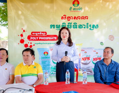 PVCFC khai trương văn phòng đại diện tại Phnom Penh, đánh dấu 10 năm đồng hành và vững bước cùng nông nghiệp Campuchia