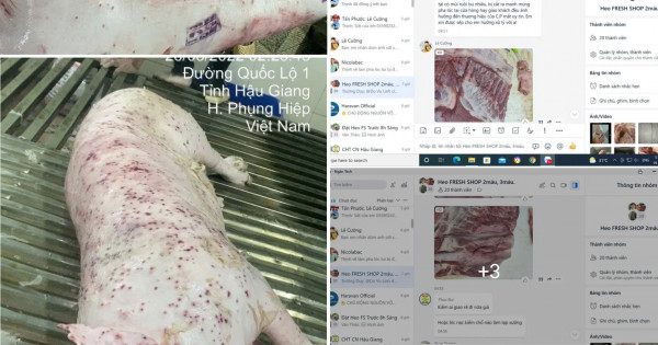 Thông tin trên MXH tố C.P Việt Nam bán heo bệnh ra thị trường: Người đứng đơn tố cáo nói gì?