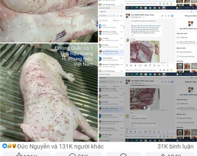 Thông tin trên MXH tố C.P Việt Nam bán heo bệnh ra thị trường: Người đứng đơn tố cáo nói gì?