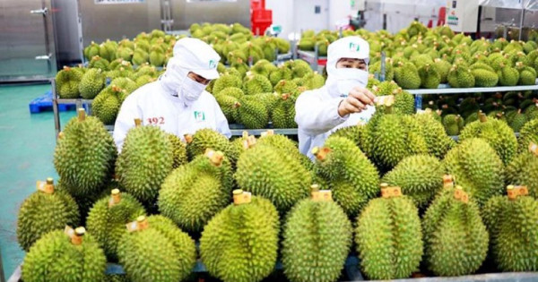 Thủ tướng yêu cầu khắc phục tình trạng '"ược mùa mất giá", nâng cao thu nhập cho người nông dân