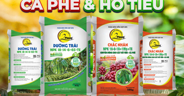 Bộ đôi Dưỡng trái – Chắc nhân: Giải pháp dinh dưỡng đột phá cho cây cà phê, hồ tiêu