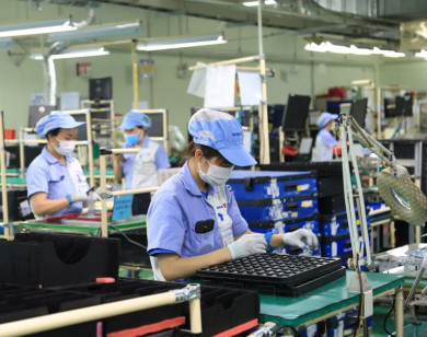 Cần một cuộc cải cách về thuế