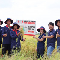 Garsoni Việt Nam đưa mùa vàng về khắp mọi miền đất nước